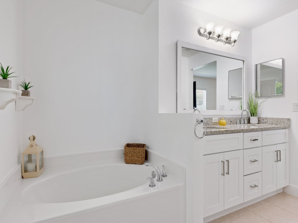 master bath with separate tub & shower