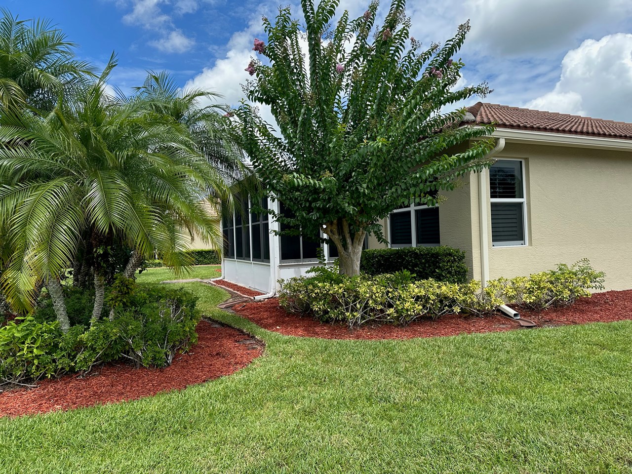 back/side of house