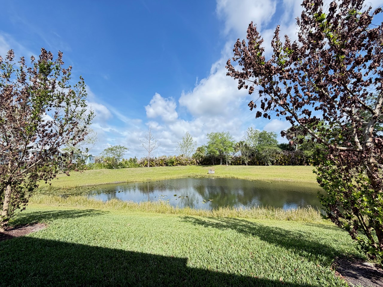lake view