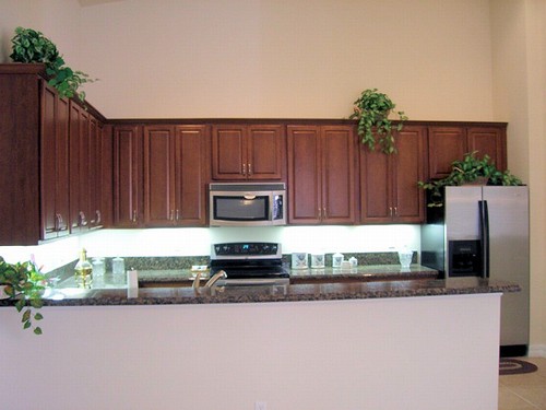 snack counter